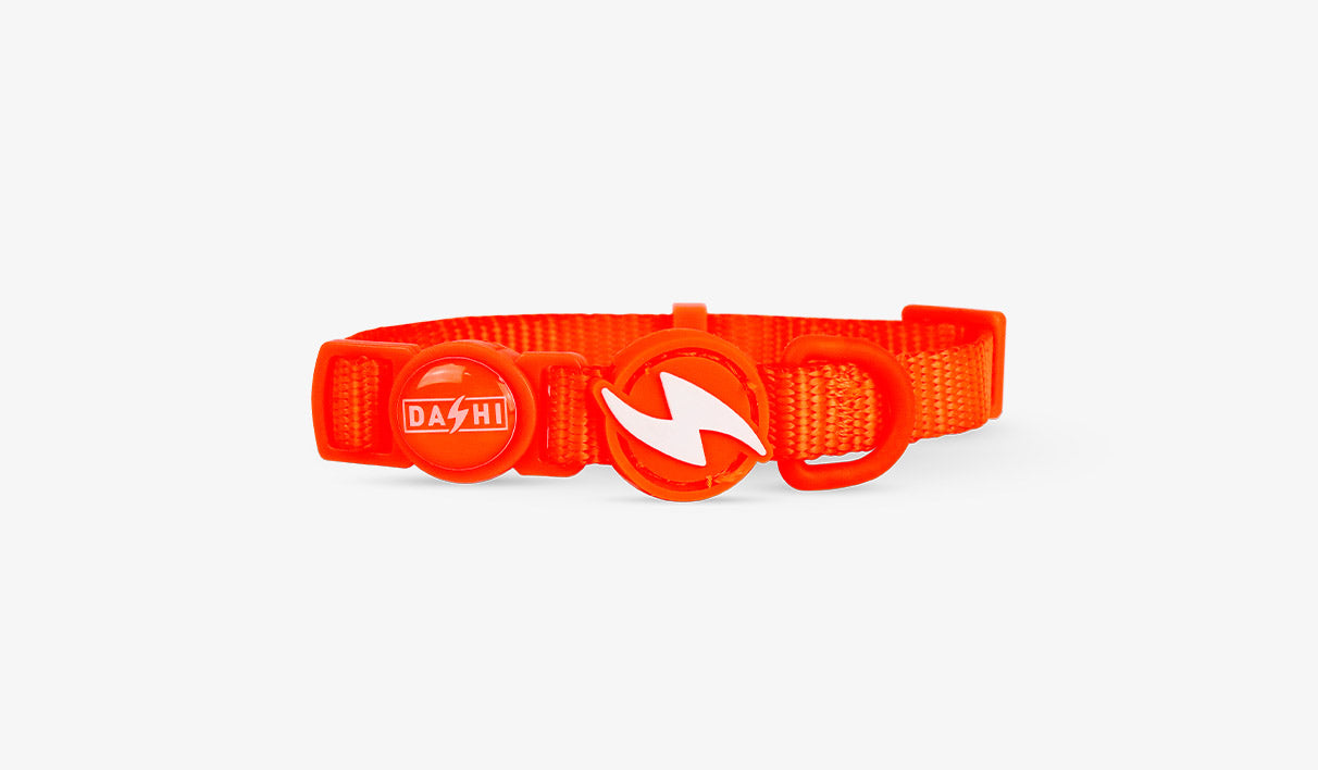 Dashi Coleira NEON
