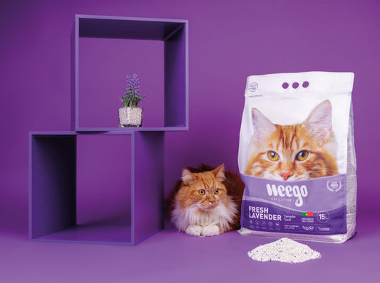 Weego - Areia Lavanda - Aglomerante