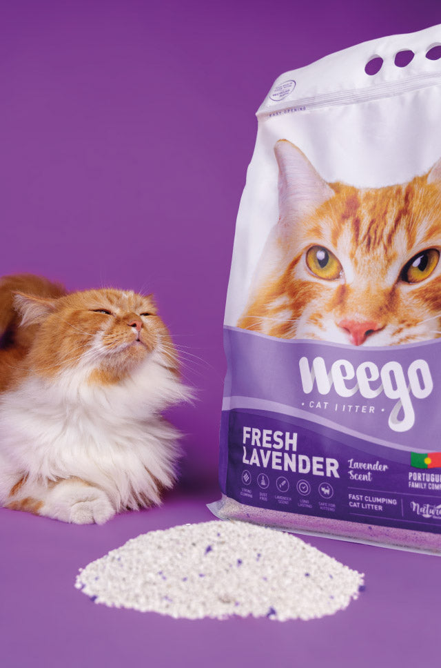 Weego Areia Lavanda Aglomerante