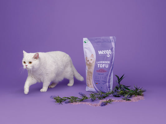 Weego - Areia Tofu Lavanda - Aglomerante