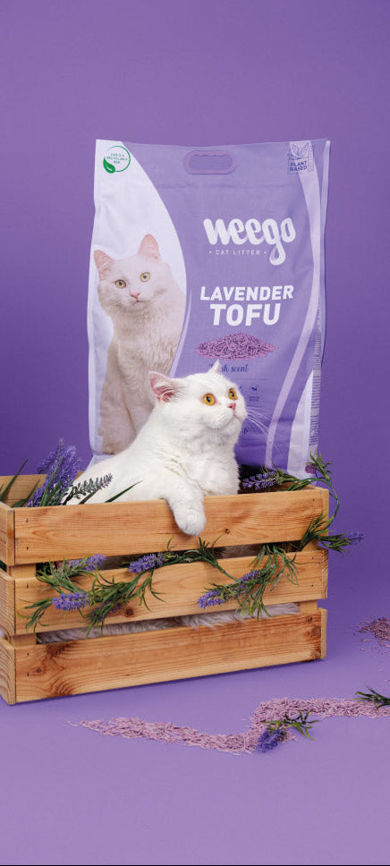 Weego Areia Tofu Lavanda Aglomerante