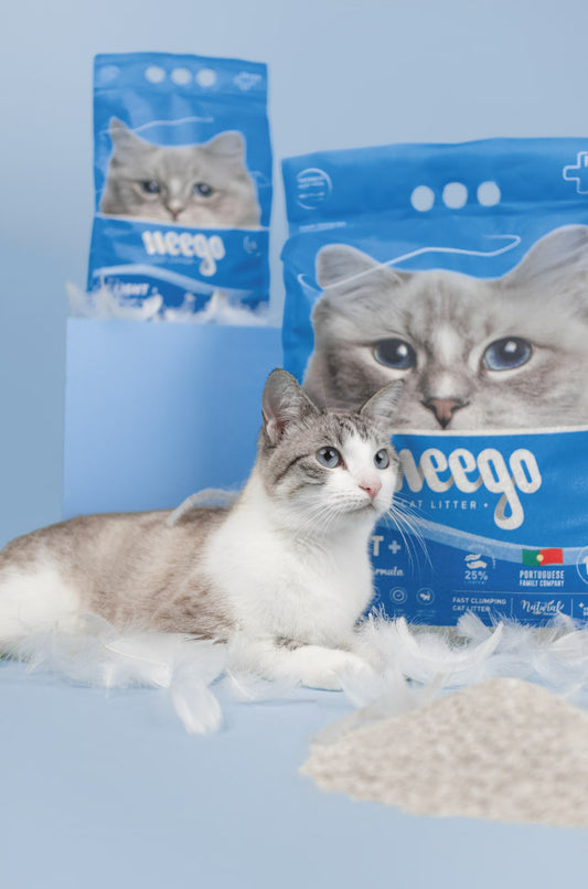 Weego - Areia Light+ - Aglomerante