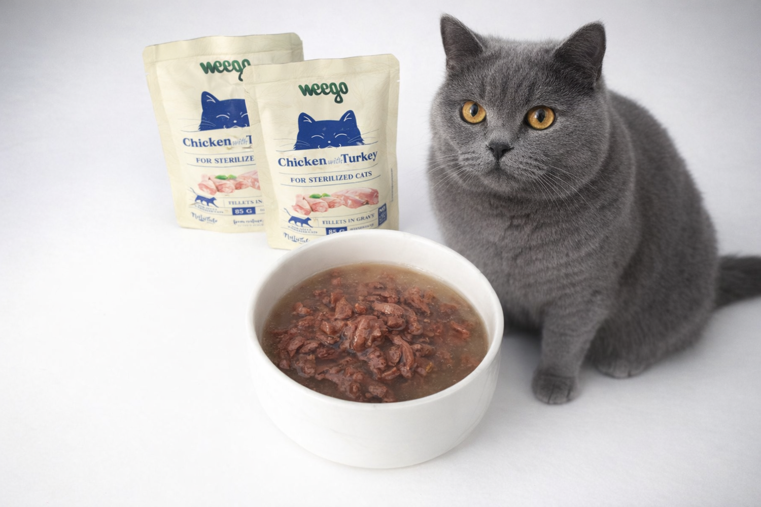 ALIMENTAÇÃO HÚMIDA