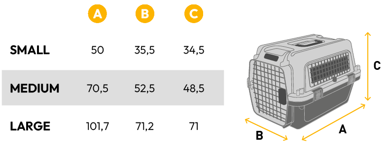 Dashi - Transportadora