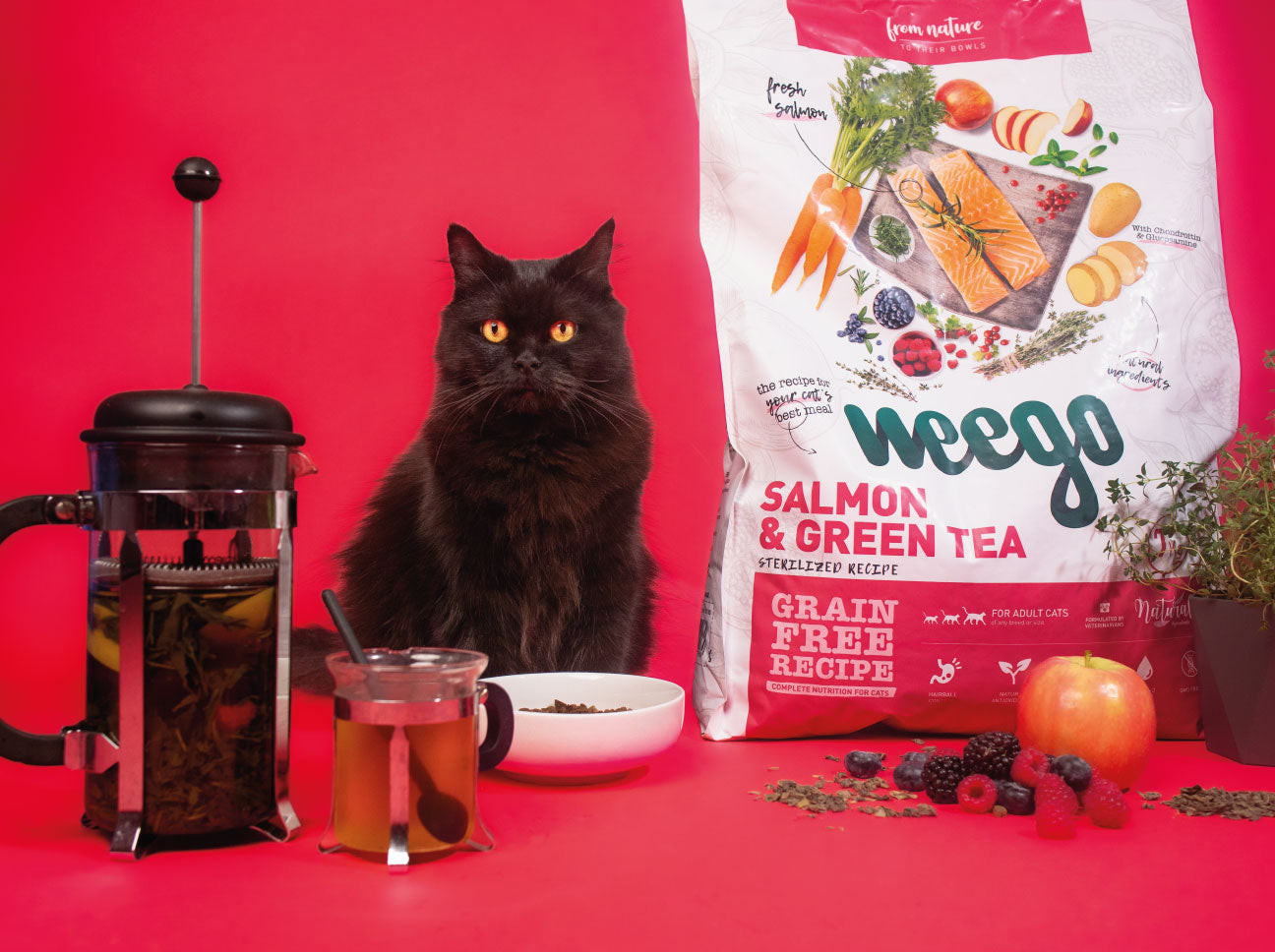 Weego Ração Seca Salmão e Chá Verde Esterilizados