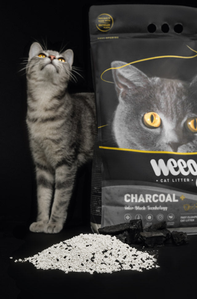 Weego - Areia Carvão AtivoPlus - Controle de Odores Aglomerante