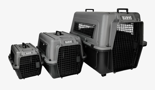 Dashi - Transportadora