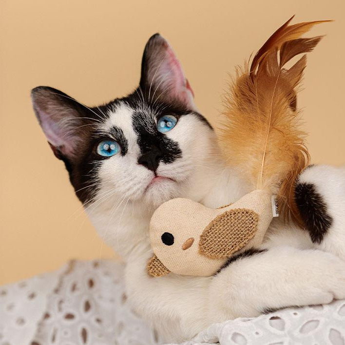 Dashi - Brinquedo Pássaro em Catnip