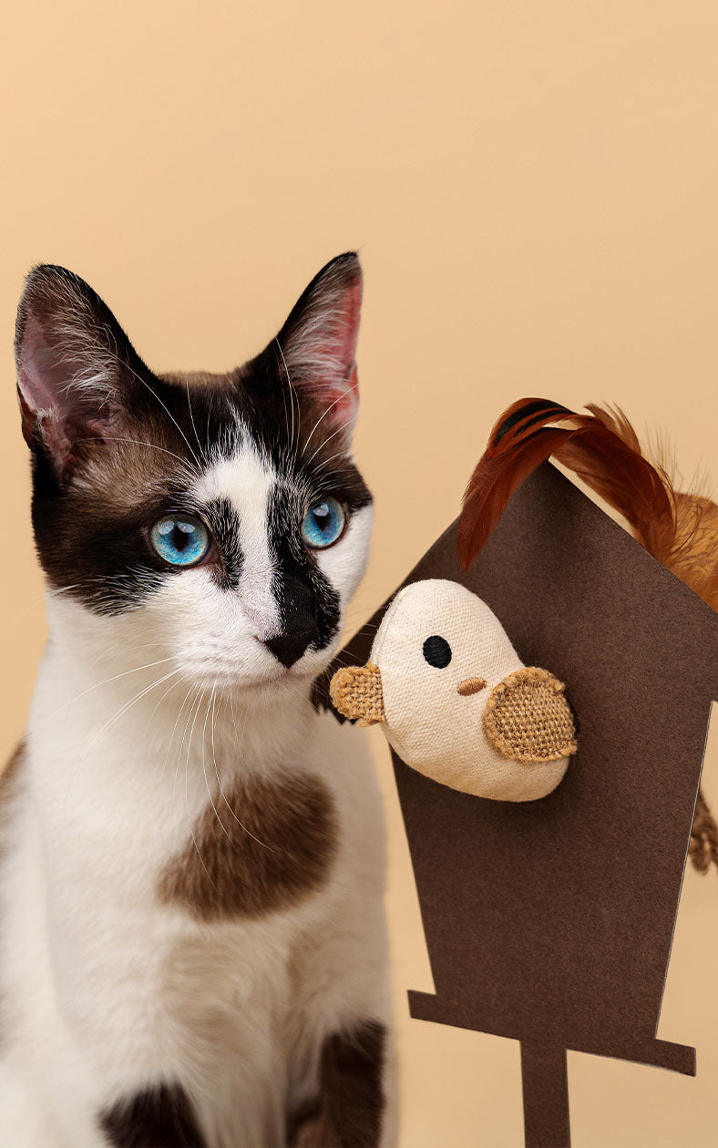 Dashi - Brinquedo Pássaro em Catnip