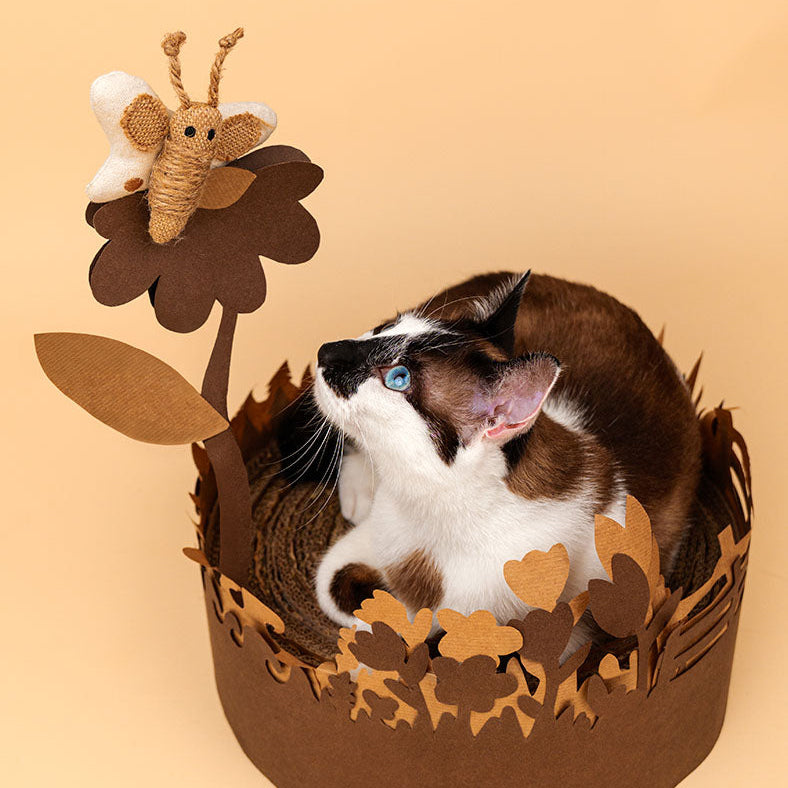 Dashi - Brinquedo Borboleta em Catnip