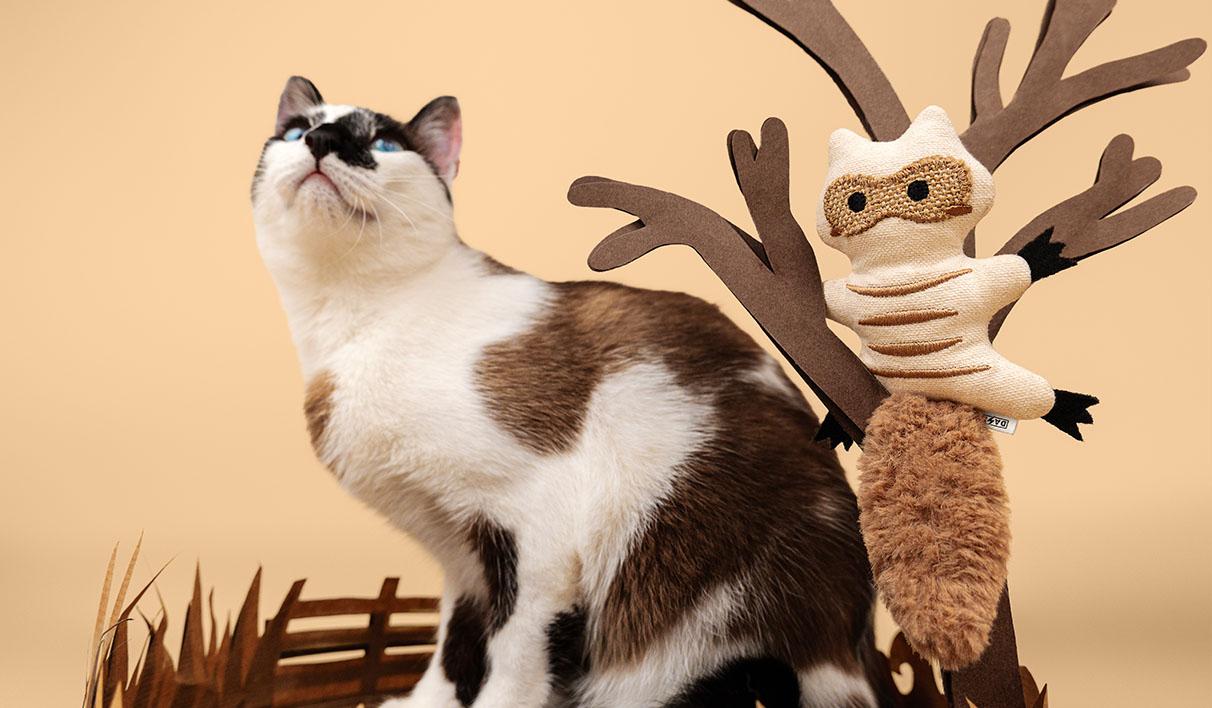 Dashi - Brinquedo Esquilo em Catnip