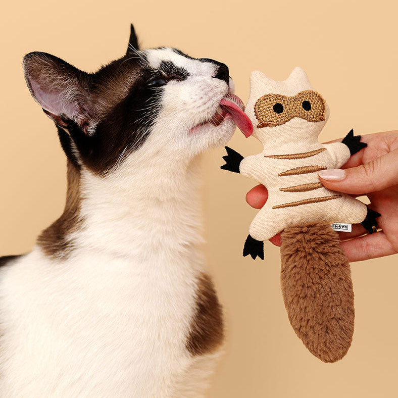 Dashi - Brinquedo Esquilo em Catnip