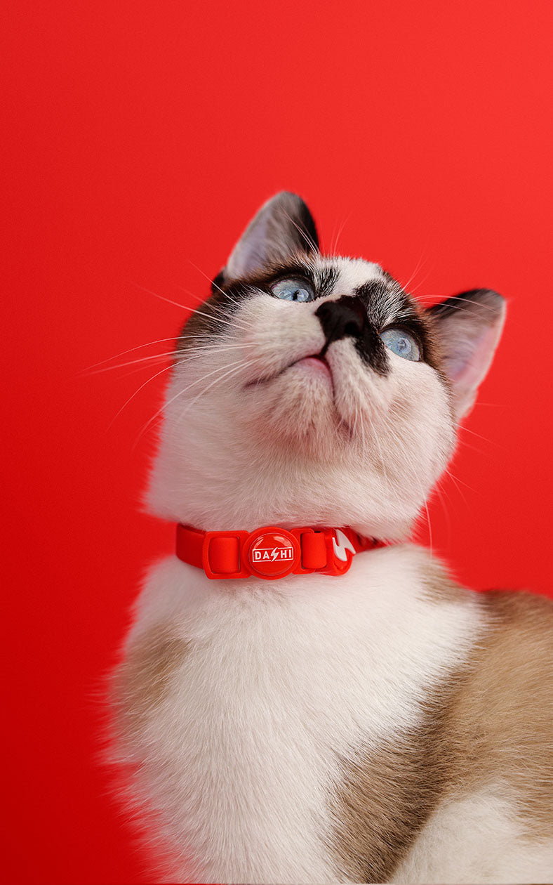 Dashi - Coleira - COLORFLEX Red