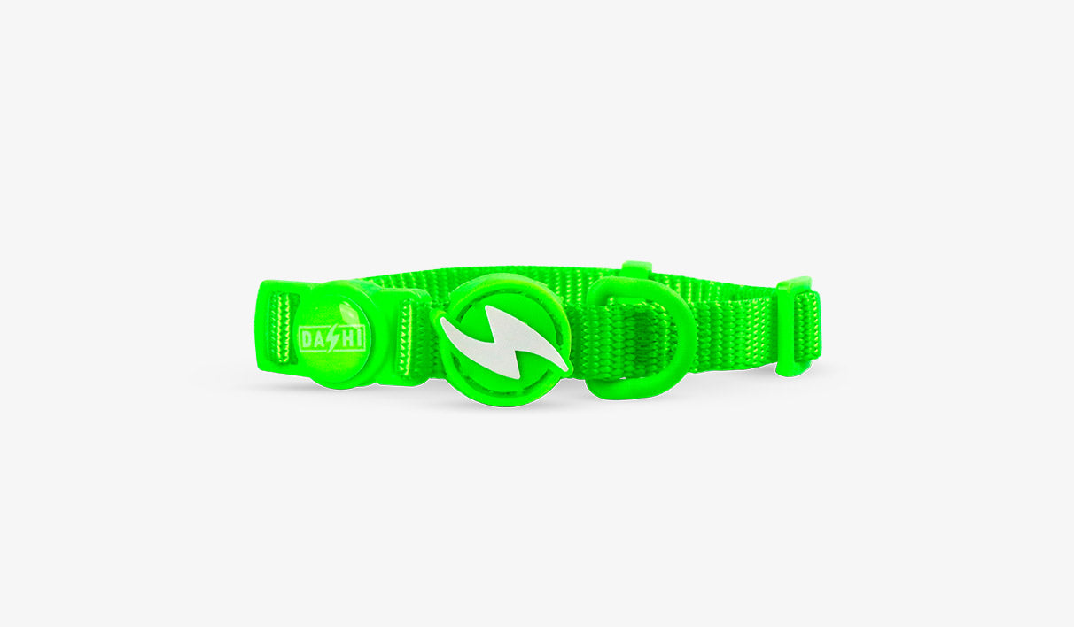 Dashi Coleira NEON