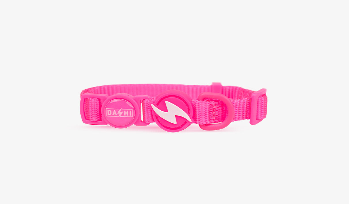 Dashi Coleira NEON