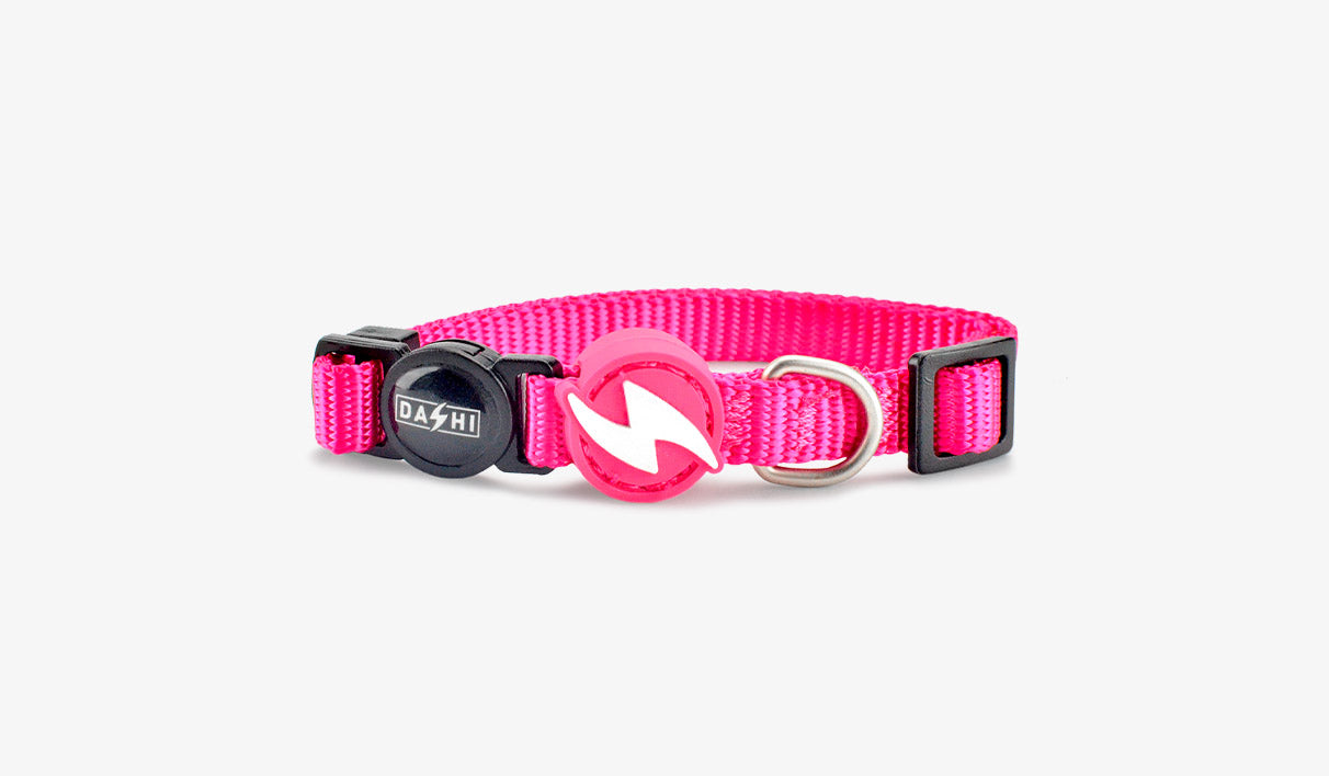 Dashi - Coleira - SOLID COLORS