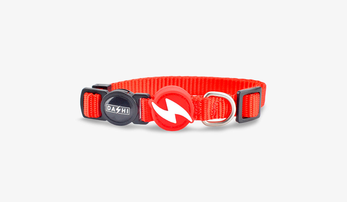 Dashi - Coleira - SOLID COLORS