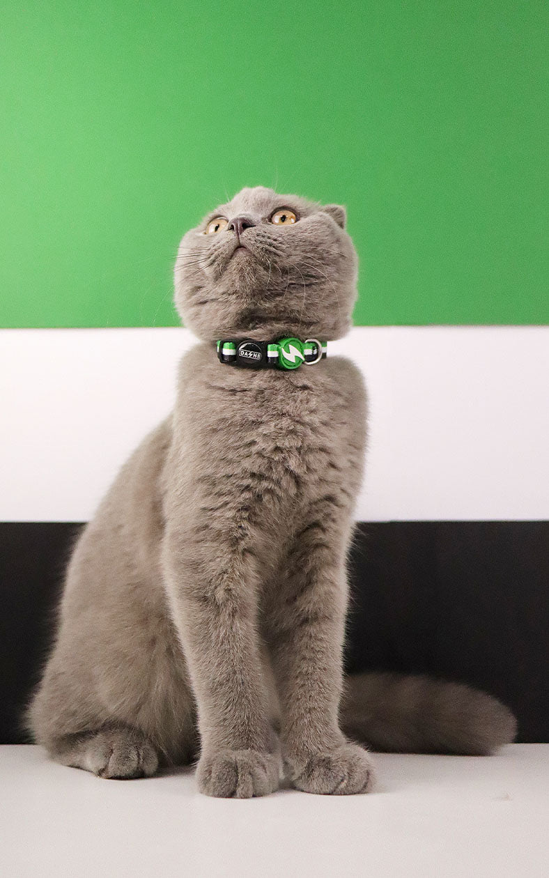 Dashi - Coleira - STRIPES3 Green and Black