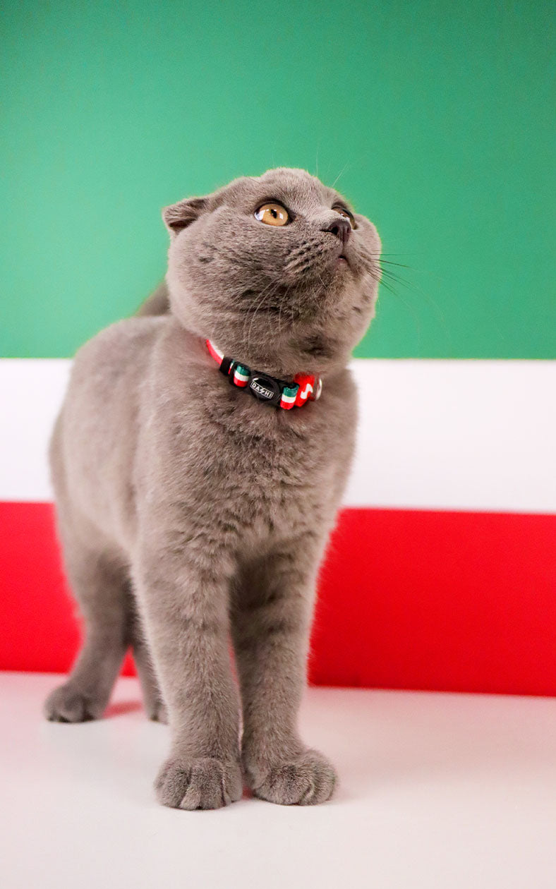 Dashi - Coleira - STRIPES3 Green and Red