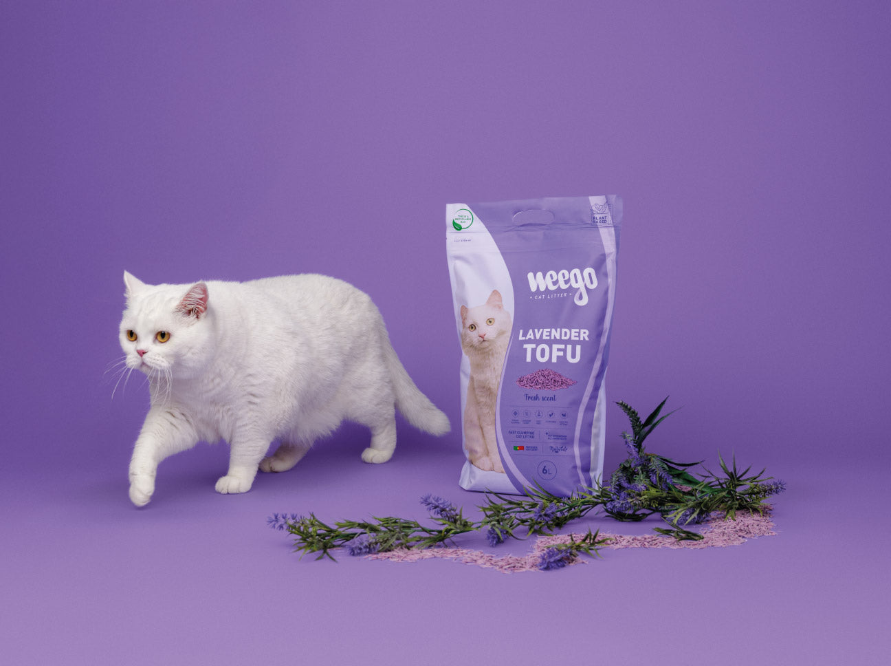 Weego - Areia Tofu Lavanda - Aglomerante