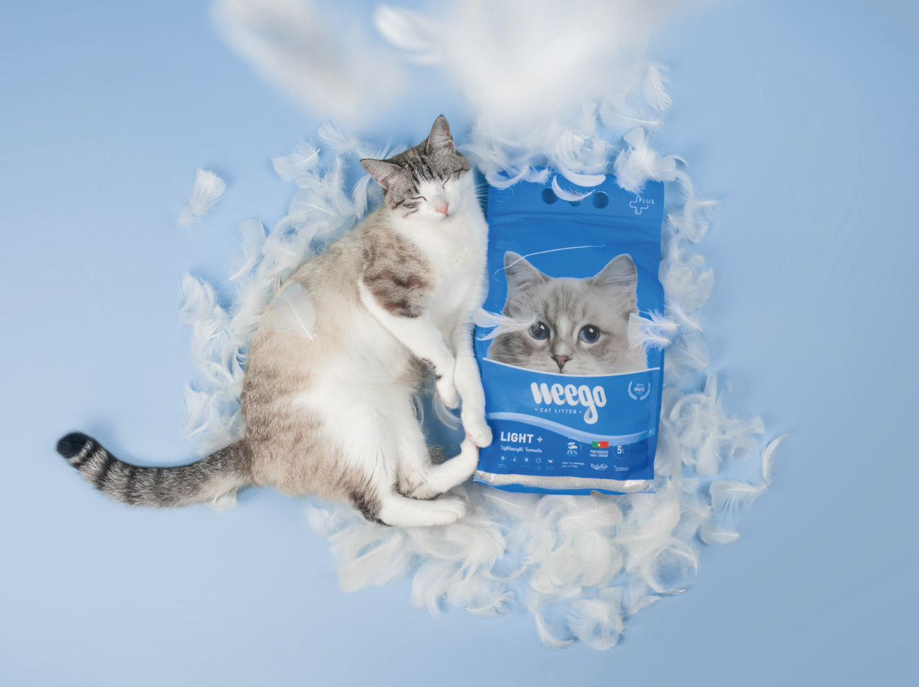 Weego - Areia Light+ - Aglomerante