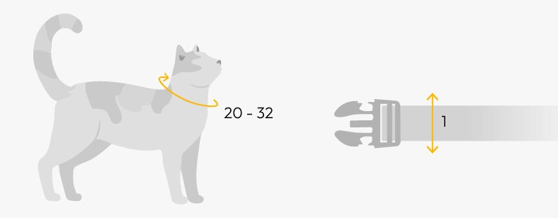 Dashi - Coleira - COLORFLEX Red