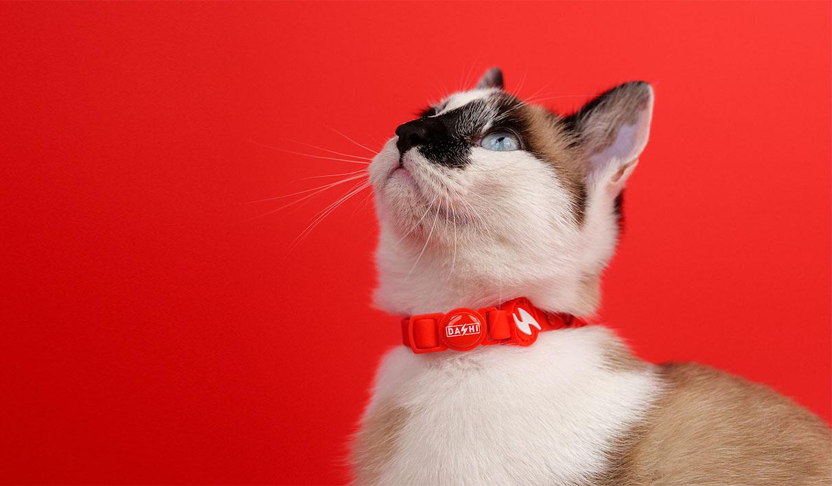 Dashi - Coleira - COLORFLEX Red